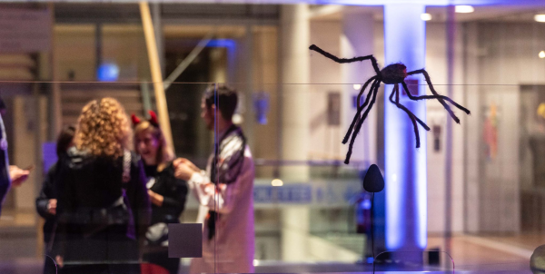 MUSE MUSEO DELLE SCIENZE (TN)